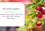 create common core aligned lesson plans and worksheets